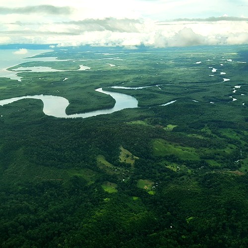 Aerial view of the Sierpe River and mangrove canals meeting the Pacific Ocean