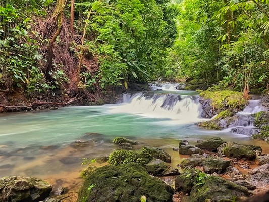 Tropical rainforest and river in Corcovado National Park, Costa Rica