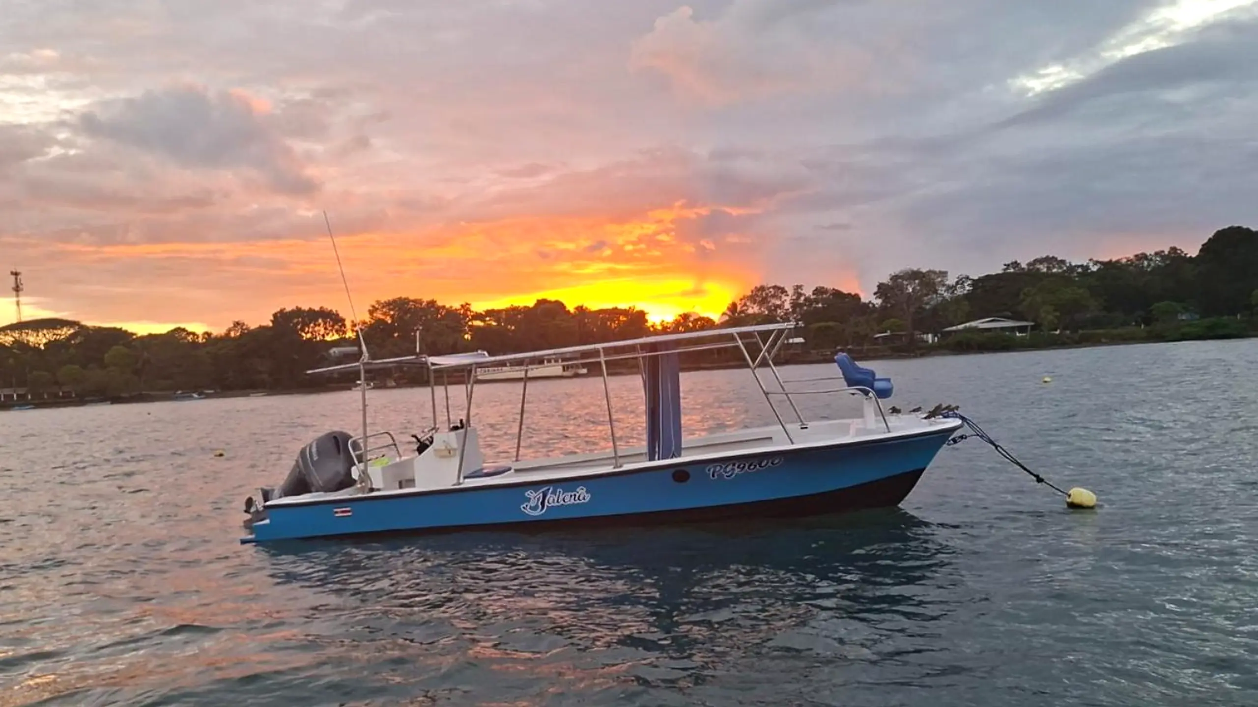 Private sunset and bioluminescence boat tour in Puerto Jiménez